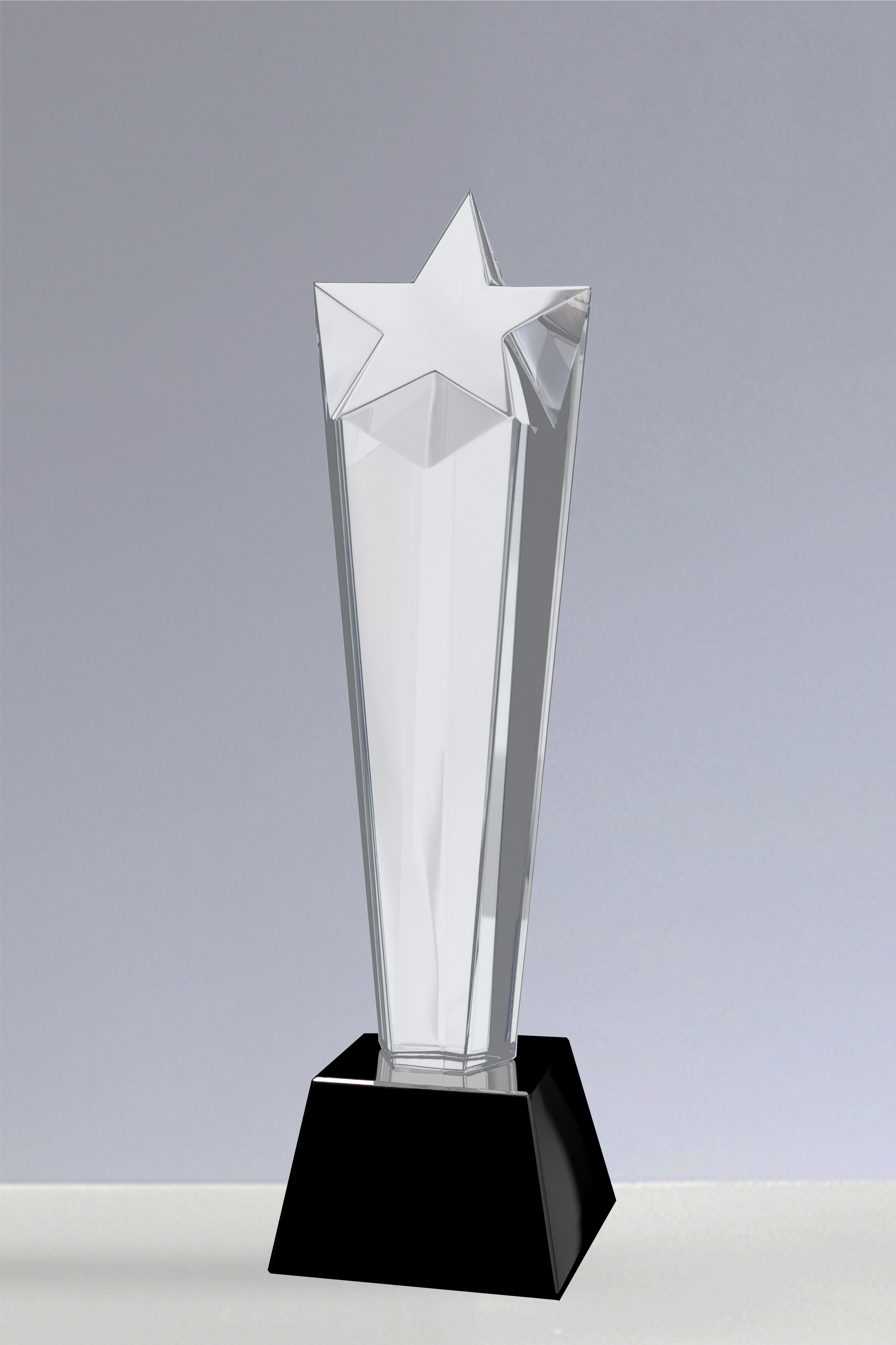 Trofee din Cristal 04